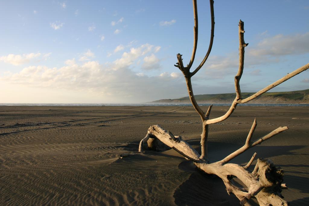 Holiday park Port Waikato Holiday Park 4*